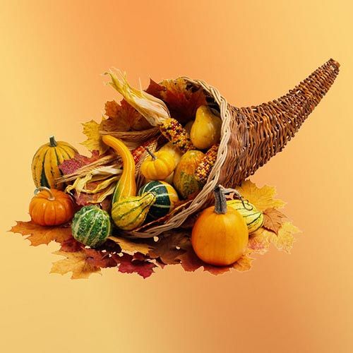 Creation of Give Thanks : Step 4