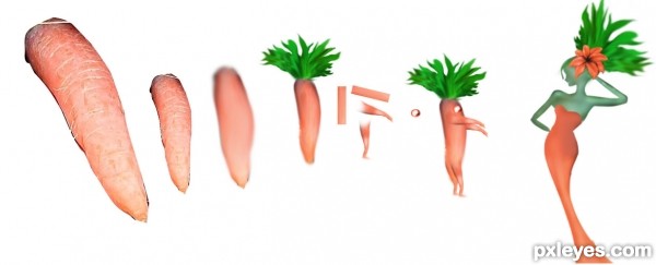 Creation of Carrot God: Step 6
