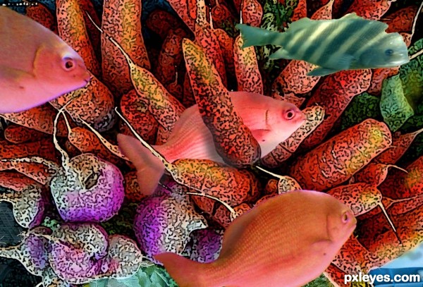 Creation of Fish Need Vegetables Too!: Step 2