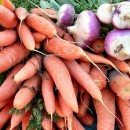 carrots source image