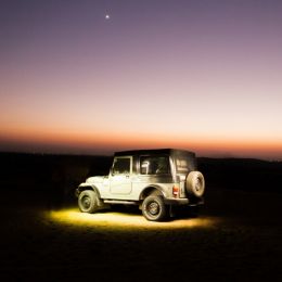 Thar in Thar (Desert) Picture