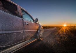 Morning Drive Picture