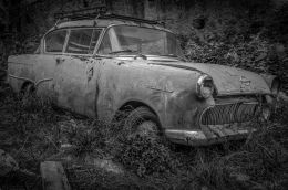 Abandoned Beauty - Opel Rekord 1958