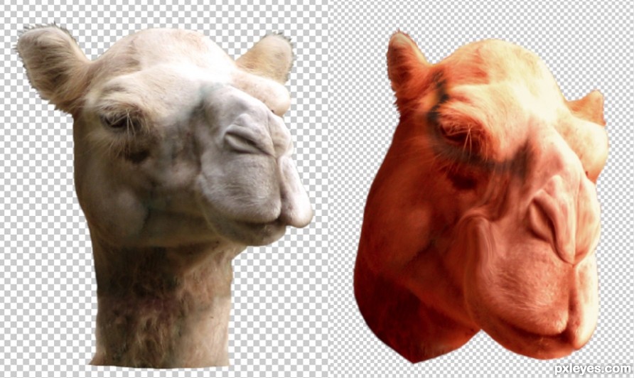 Creation of Joe Camel: Step 2