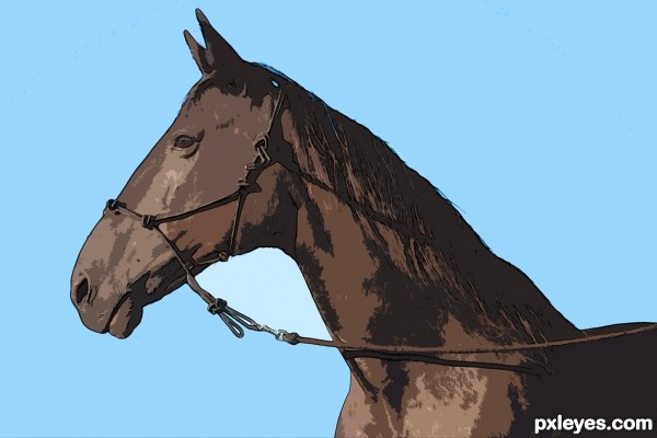 Creation of Cartoon Horse: Step 4