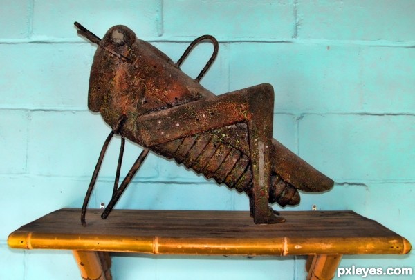 Dowry Grasshopper