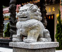 Shishi - Chinese Lion