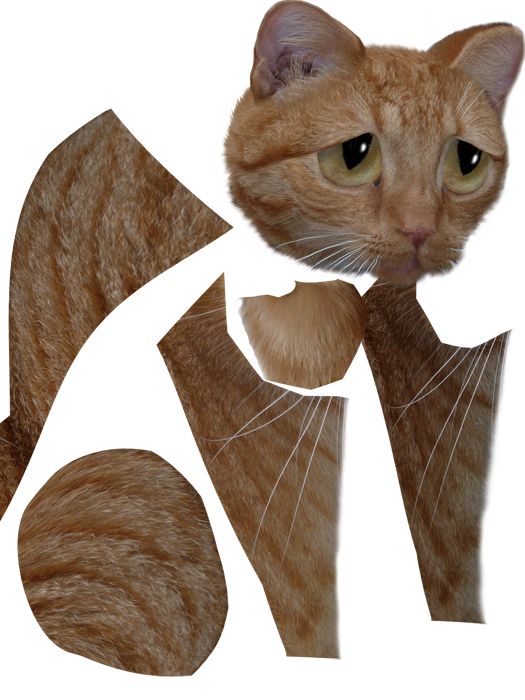 Creation of Take Me Home: Step 3