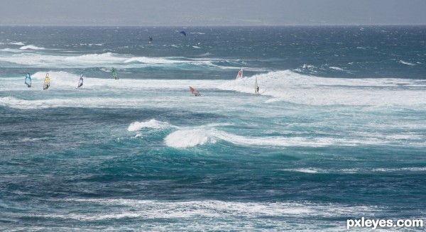 Windsurfers