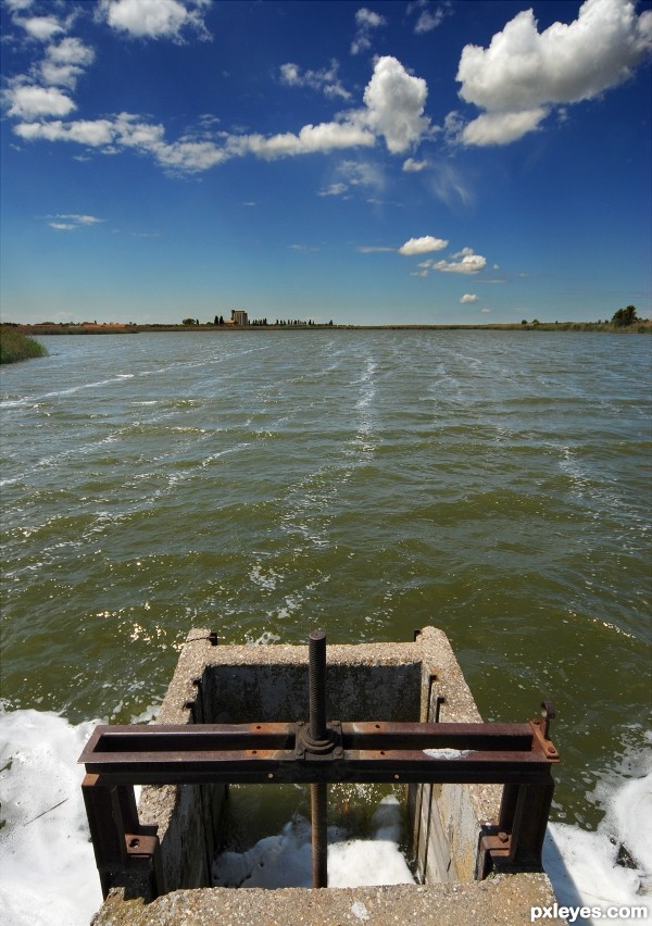 Windy day on a fish pond