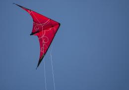 Kite