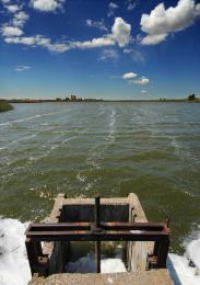 Windy day on a fish pond