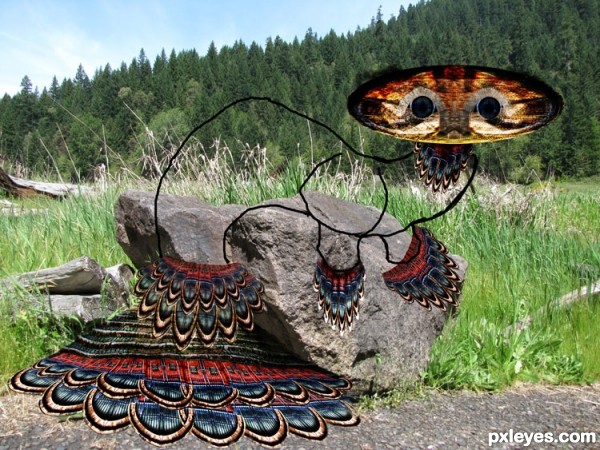 Creation of Mercat: Step 7