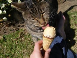 Icecream- My favourite