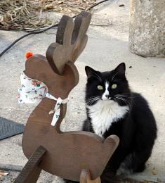 Guarding Rudolf