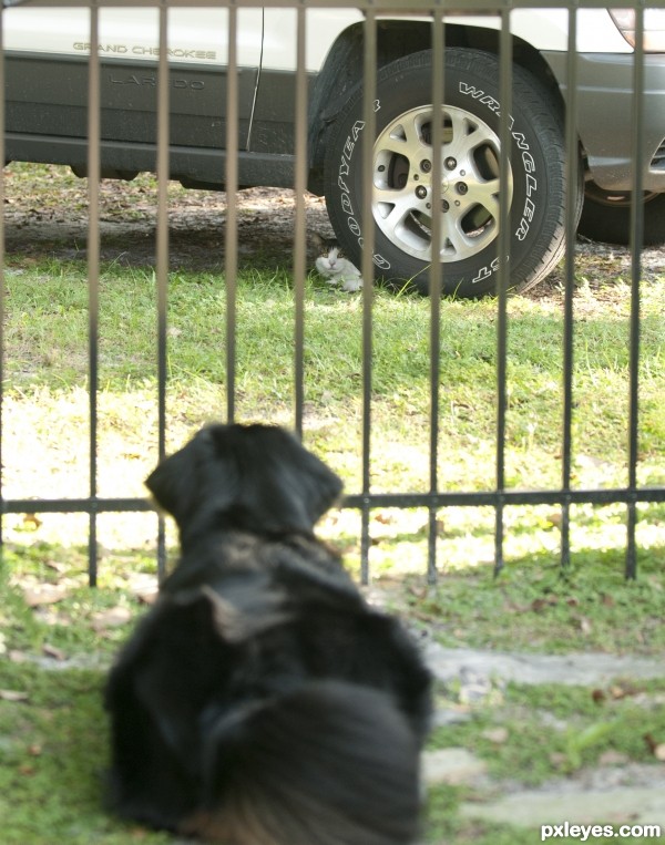 Friends with barriers