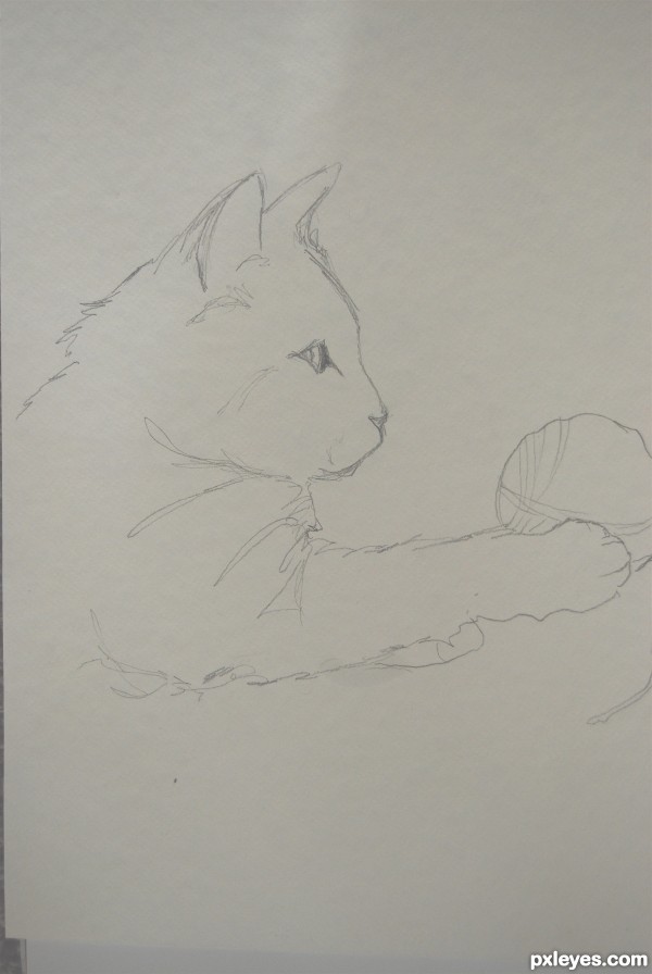 Creation of cat with yarn: Step 1