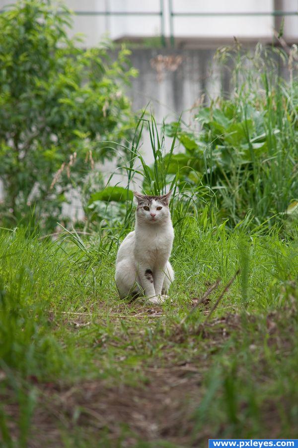 Keeper or the garden