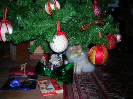 ChristmasCAt