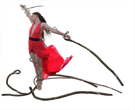 Creation of Tangled In The Forest: Step 5