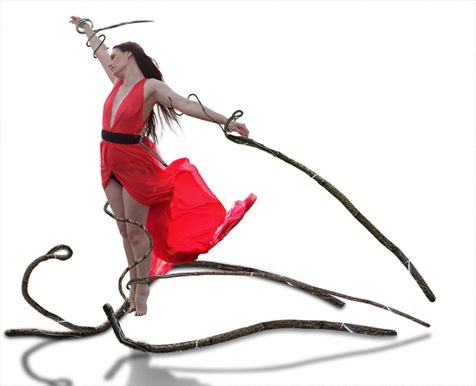 Creation of Tangled In The Forest: Step 6