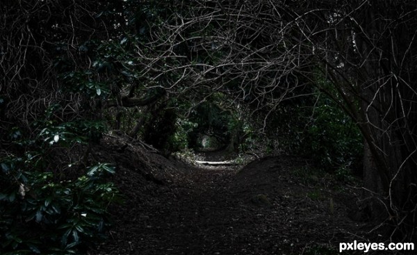 Creation of Tangled In The Forest: Step 10
