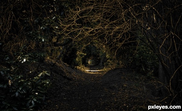 Creation of Tangled In The Forest: Step 11