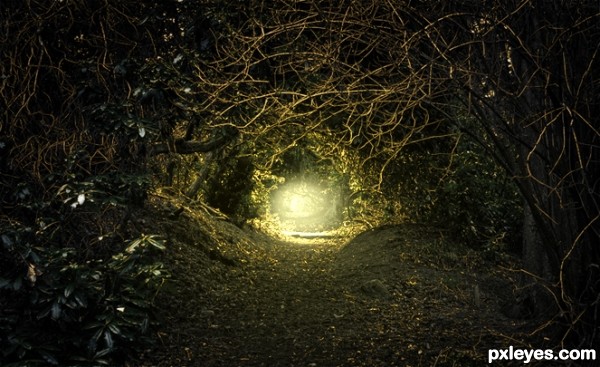 Creation of Tangled In The Forest: Step 12