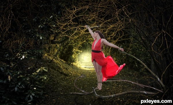 Creation of Tangled In The Forest: Step 13