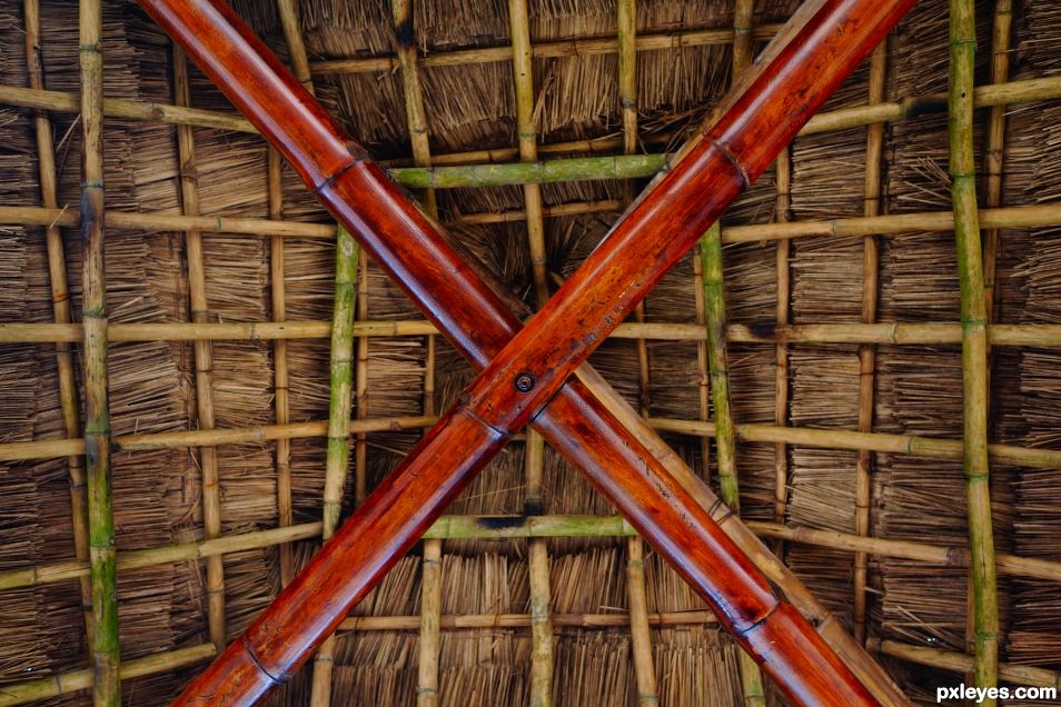 Palapa Ceiling