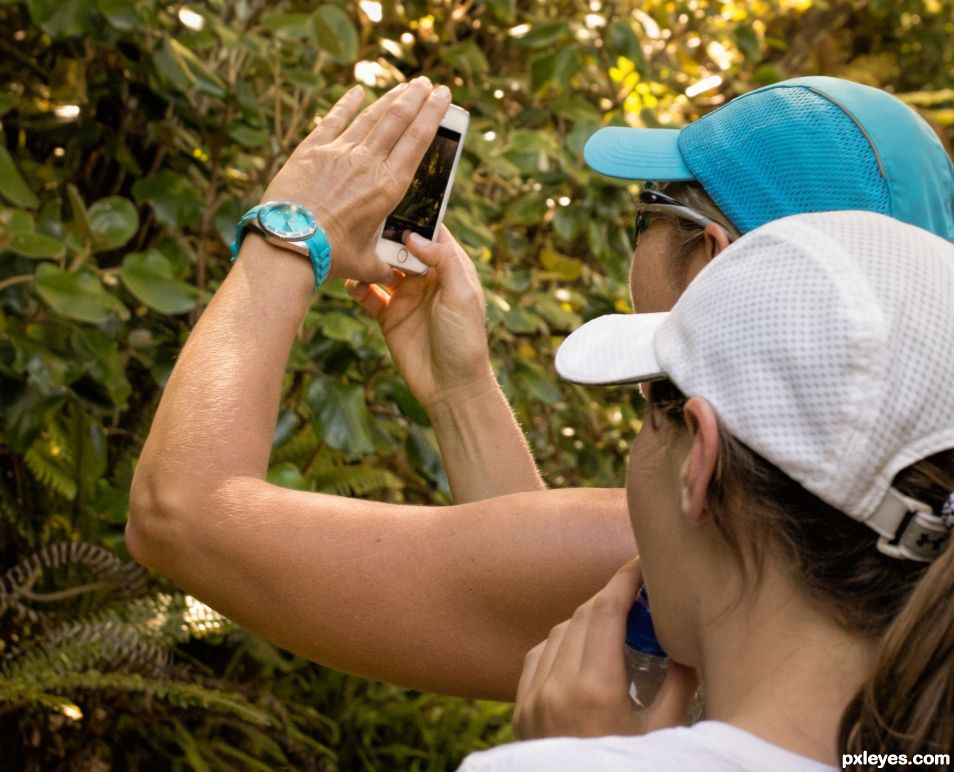 Easy camera to take on a hike.