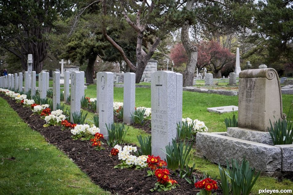 Ross Bay Cemetery