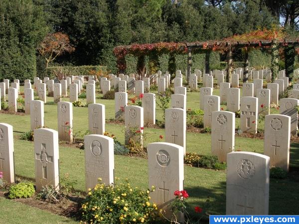 War cemetery