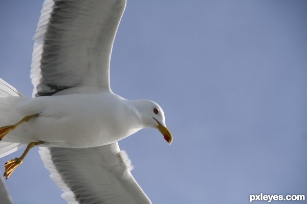 From below ...