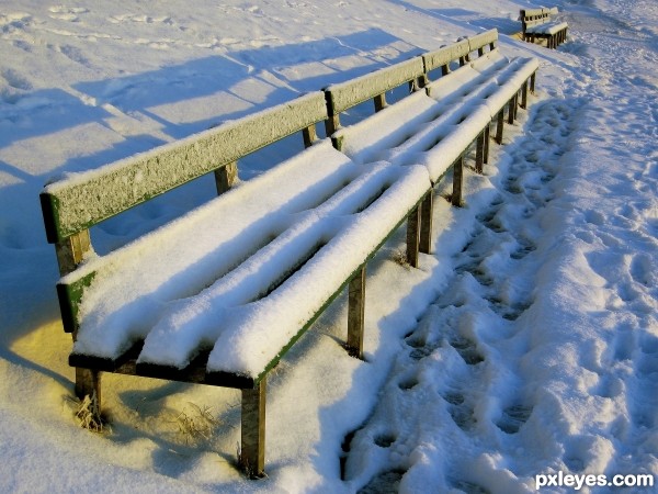 Wintery Bench