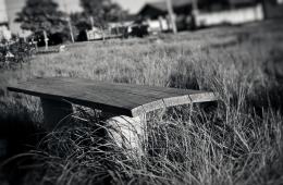 Park bench