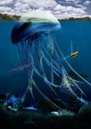 Megajellydon