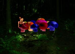 magical mushrooms Picture