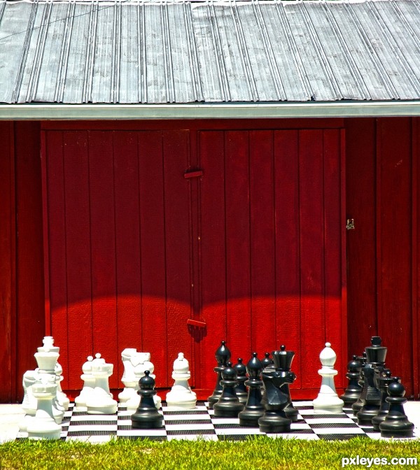 Barnyard chess board