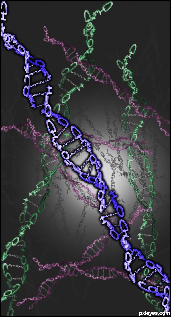 Creation of Deoxyribonucleic Acid: Final Result