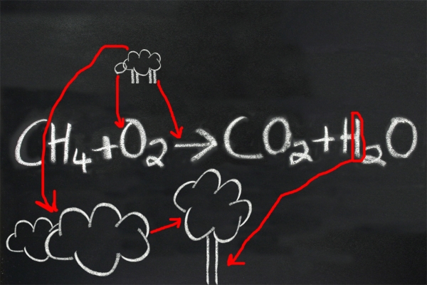 Creation of blackboard picture: Step 2