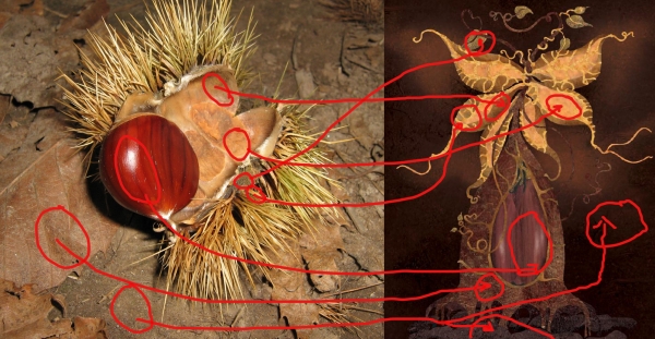Creation of chestnut: Step 8