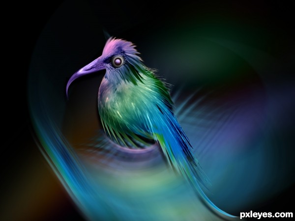 Sweet Bird photoshop picture)