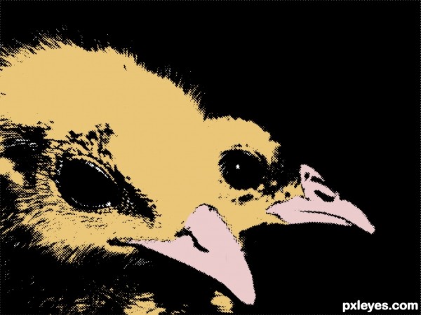 Creation of Chicks Pop Art: Step 3
