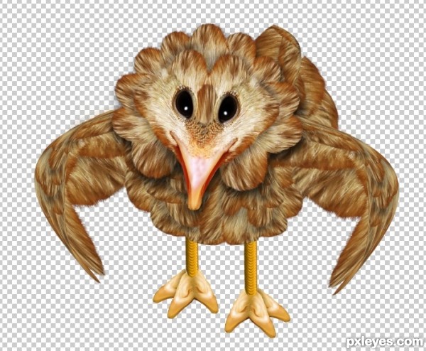 Creation of Birdies and the Top: Step 25