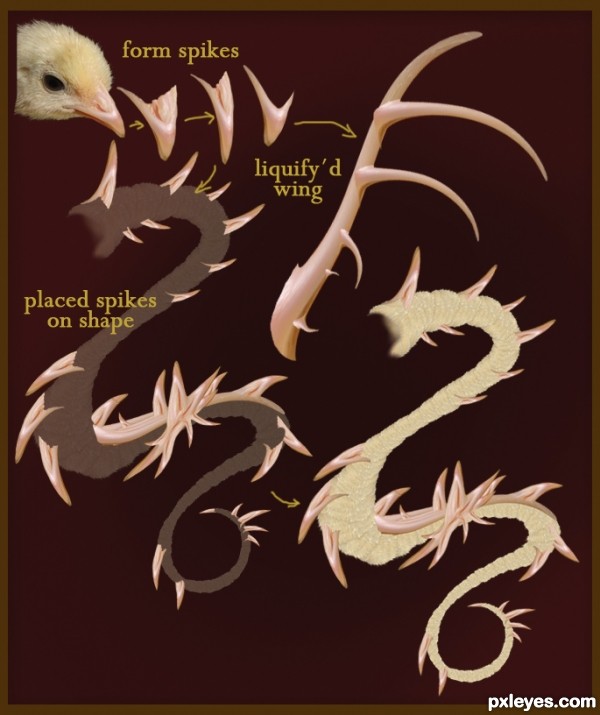 Creation of Chickgon: Step 2