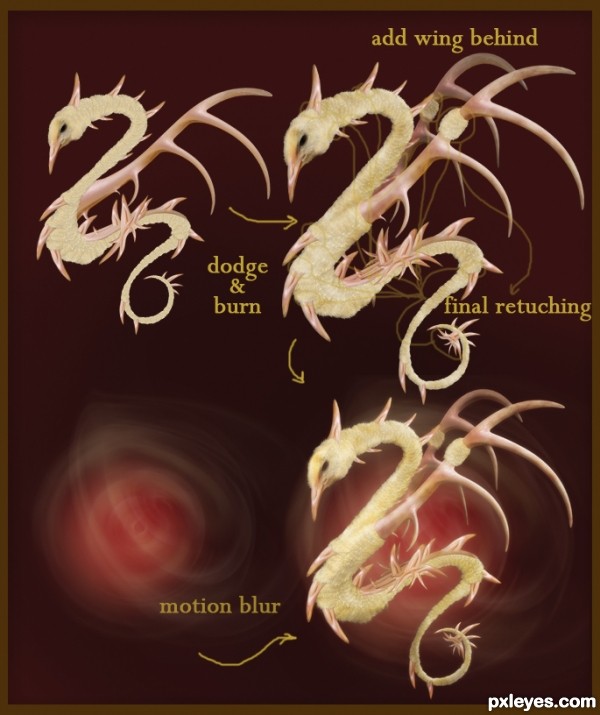 Creation of Chickgon: Step 3