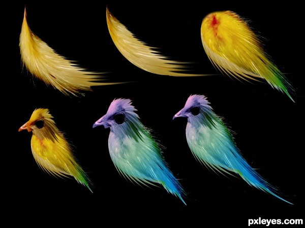 Creation of Sweet Bird: Step 2