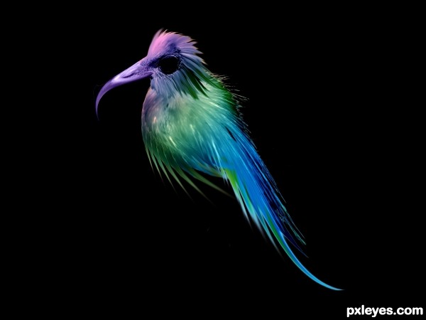 Creation of Sweet Bird: Step 3