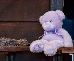 Lavender Teddy